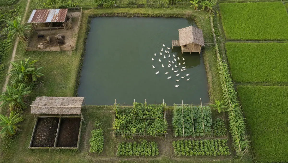 Top-down view of an integrated farm: a fish pond with a duck house, a pig shed, compost pits, vegetable beds on trellises and paddy fields.